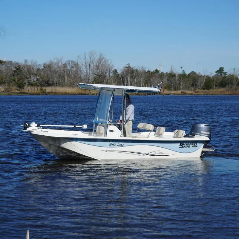 The Image of Carolina 198 DLV 2016 - undefined