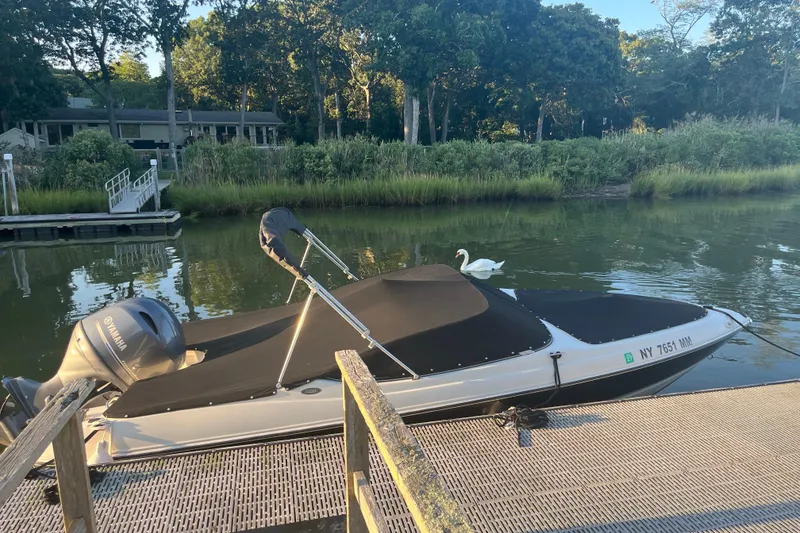 The Image of 2015 Stingray 191 RX boat docked on a serene river with lush greenery. - 0