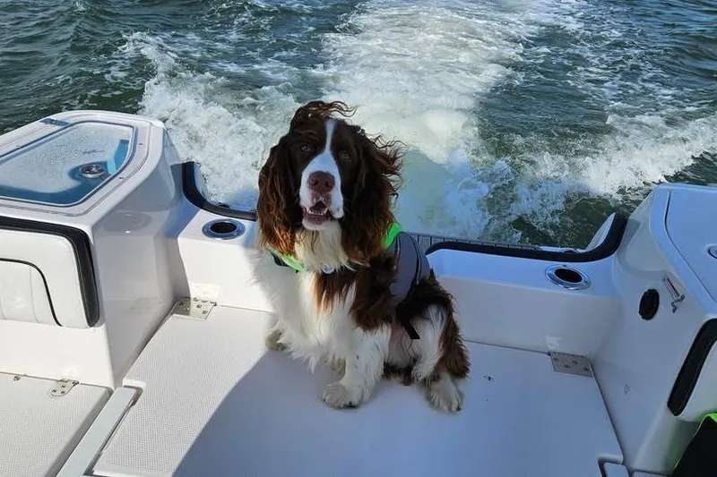 Slide: The Image of 2023 Yamaha Boats 255 FSH Sport E deck features with storage and cup holders. - 14