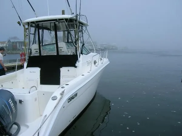 Slide: The Image of Century 3200 Walk-Around 2007 - 2