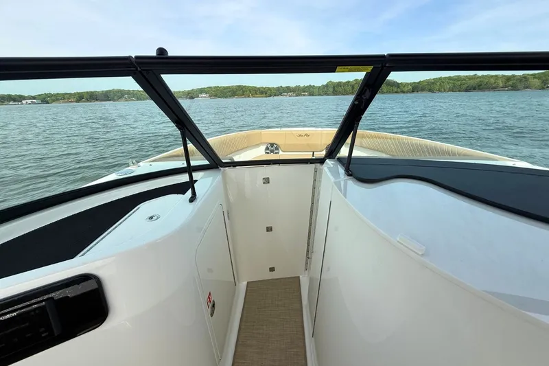 Slide: The Image of Sea Ray SDX 250 2026 - 23