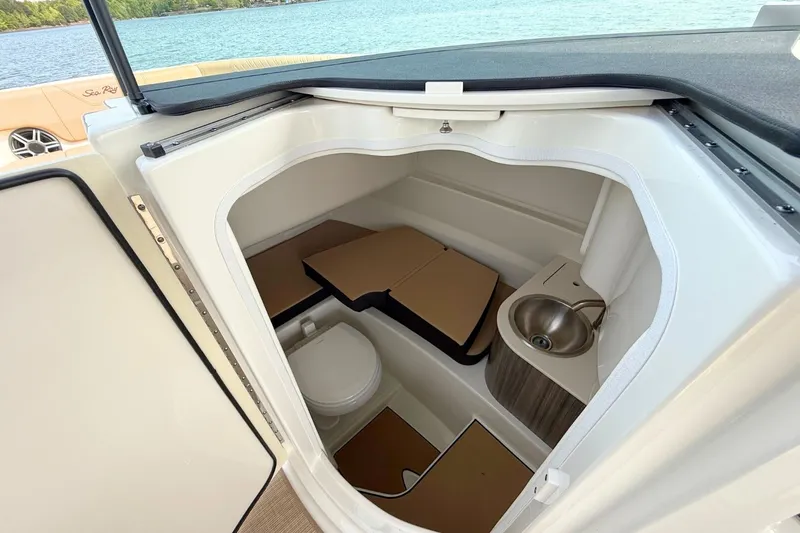 Slide: The Image of Sea Ray SDX 250 2026 - 25