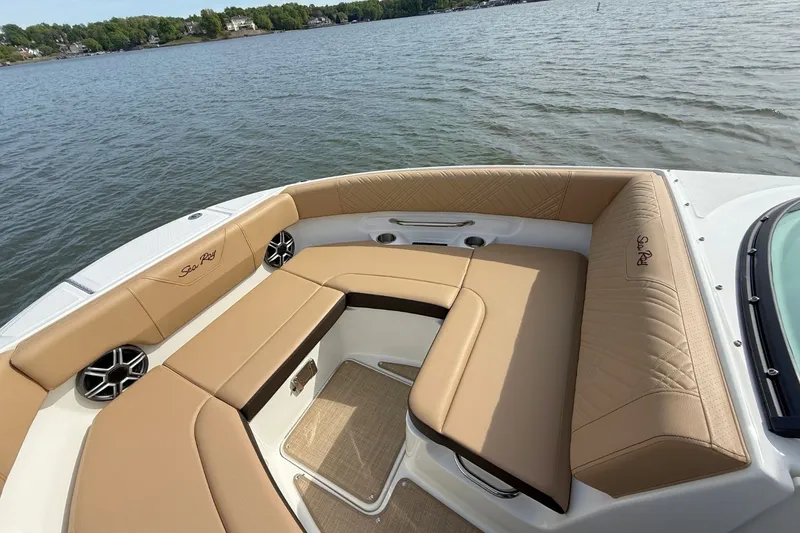 Slide: The Image of Sea Ray SDX 250 2026 - 28