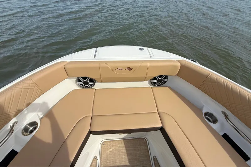 Slide: The Image of Sea Ray SDX 250 2026 - 29
