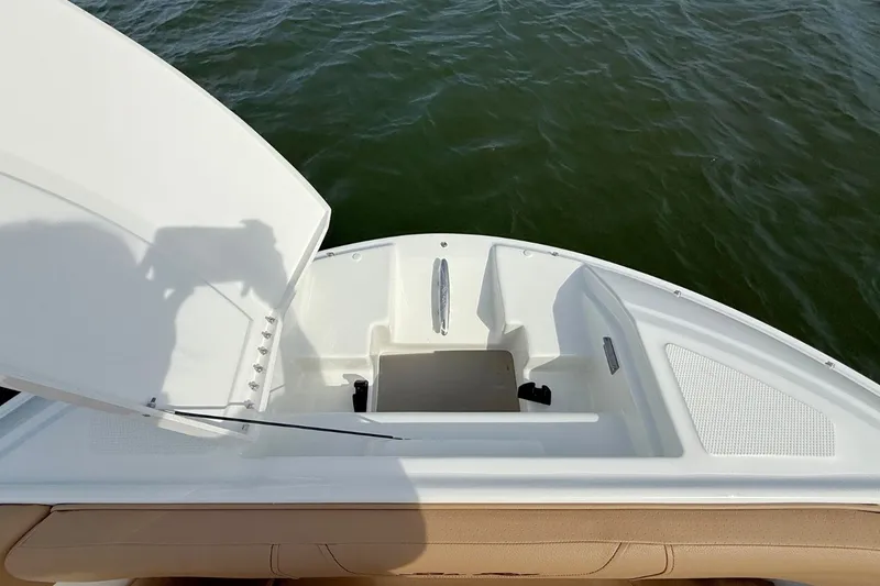 Slide: The Image of Sea Ray SDX 250 2026 - 30