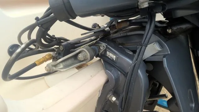 Slide: The Image of Key West 190 Bay Reef 2004 - 3