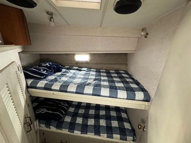 Slide: The Image of Tollycraft 34 1988 - 13