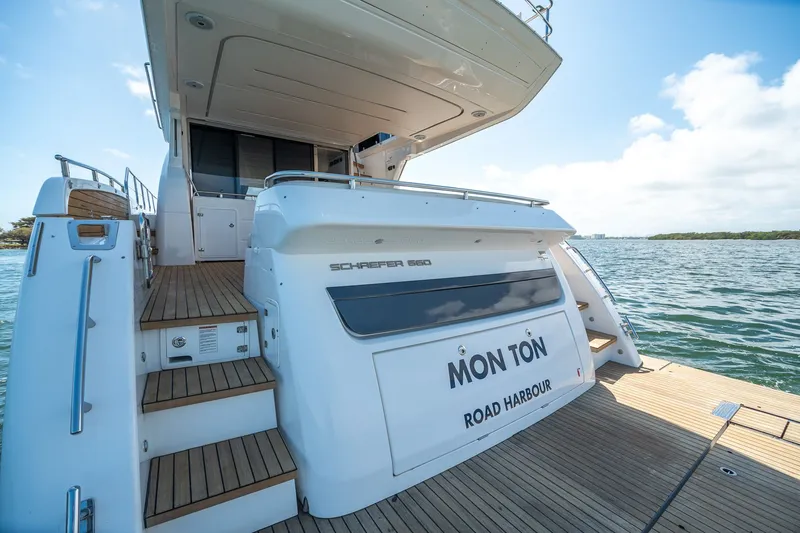 Slide: The Image of Schaefer 660 2021 - 86