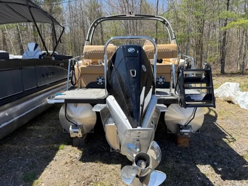 Slide: The Image of Avalon Excalibur 2025 - 5