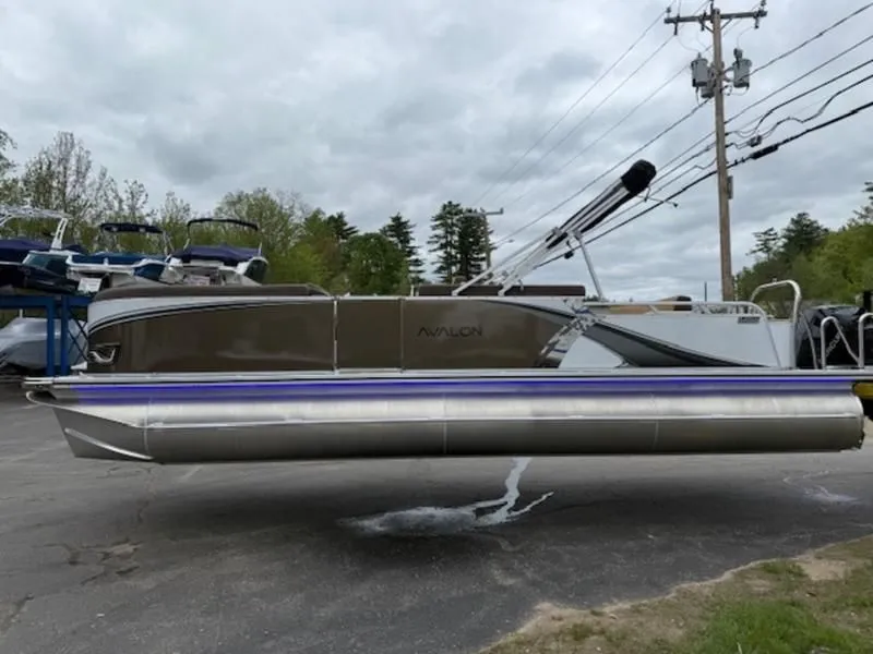 The Image of Avalon LSZ 2025 - 1