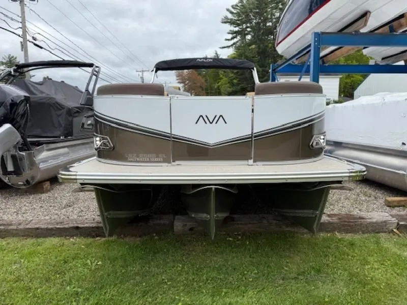 Slide: The Image of Avalon LSZ 2025 - 4