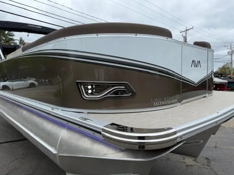 Slide: The Image of Avalon LSZ 2025 - 5