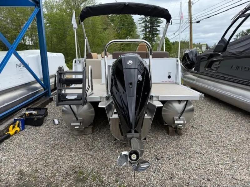 Slide: The Image of Avalon LSZ 2025 - 8