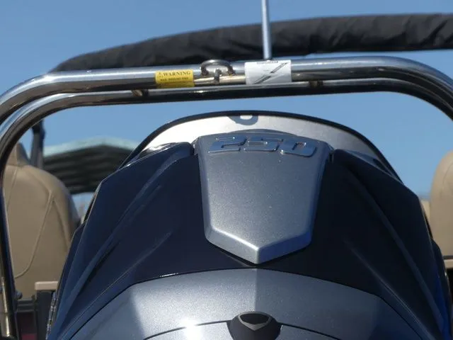 Slide: The Image of Sylvan X3 Party Fish 2023 - 10