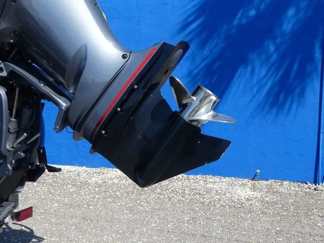 Slide: The Image of Sylvan X3 Party Fish 2023 - 11