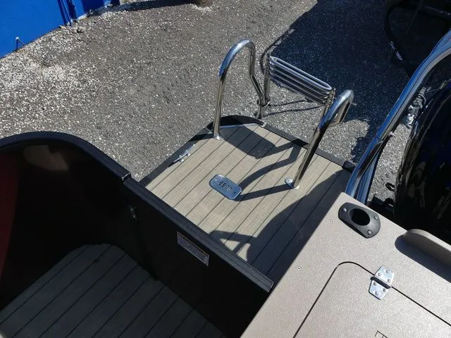 Slide: The Image of Sylvan X3 Party Fish 2023 - 14