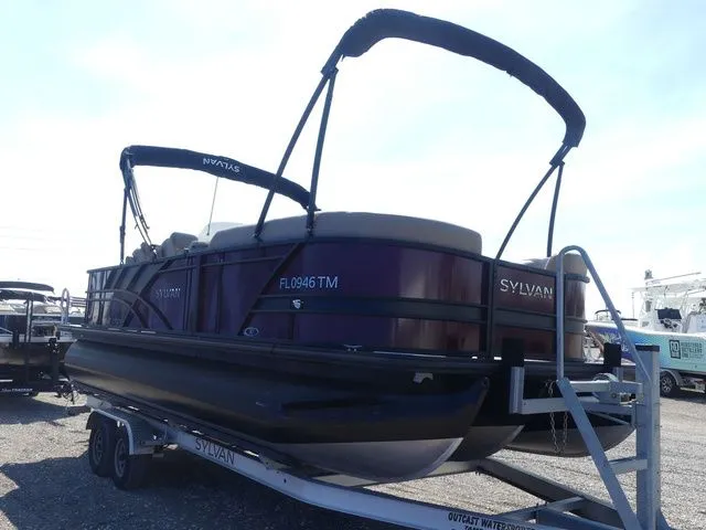 Slide: The Image of Sylvan X3 Party Fish 2023 - 3