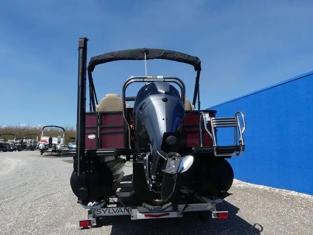 Slide: The Image of Sylvan X3 Party Fish 2023 - 5