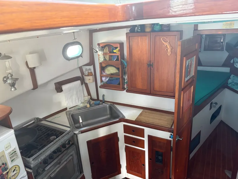 Slide: The Image of Wilbur 38 Flybridge 1983 - 20