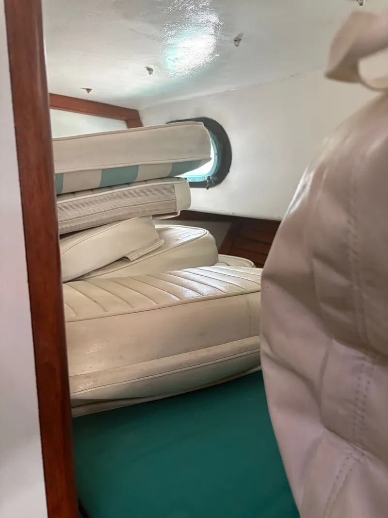 Slide: The Image of Wilbur 38 Flybridge 1983 - 25