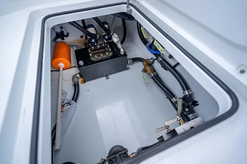 Slide: The Image of Freeman 43 2023 - 58