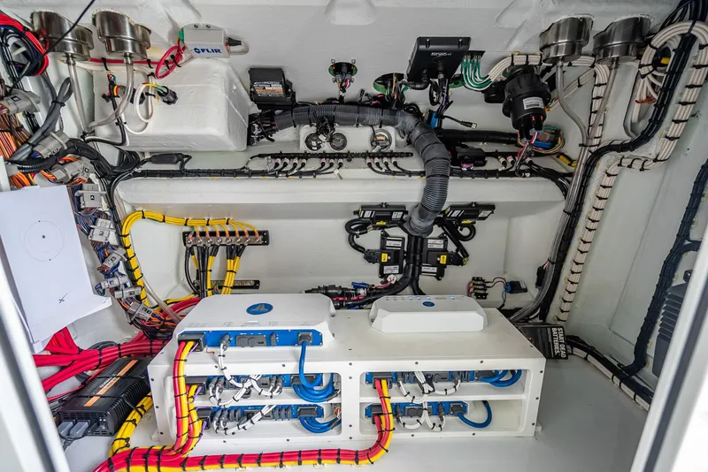 Slide: The Image of Freeman 43 2023 - 60