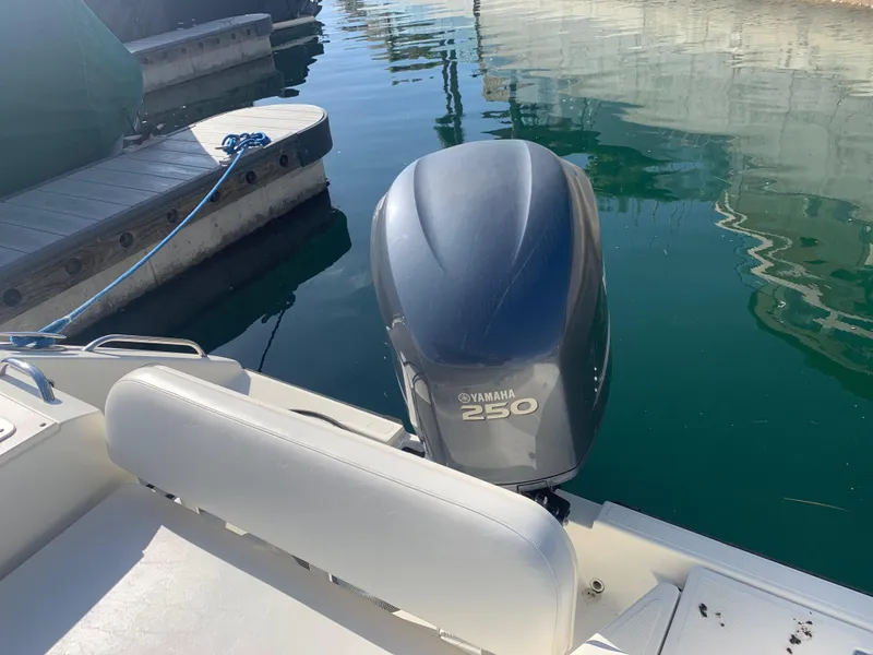 Slide: The Image of 250 HP Outboard - 9