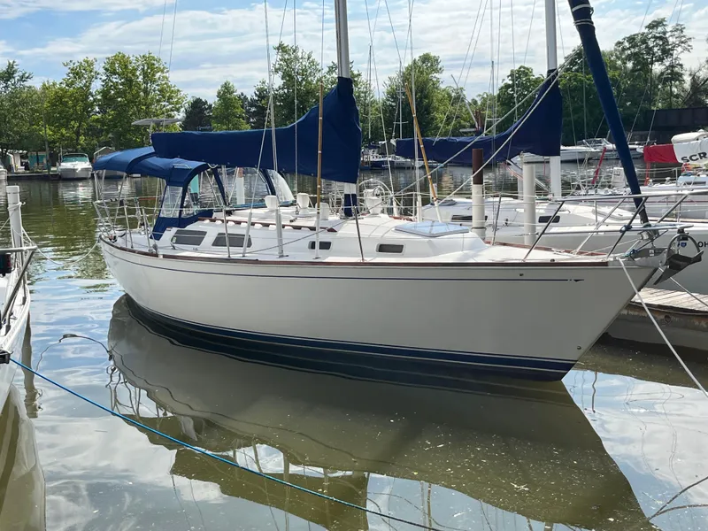 The Image of 1988 Sabre 34 MK II sailboat docked in marina. - 0
