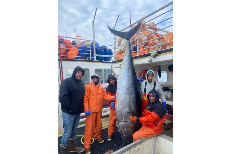 Slide: The Image of Five fishermen on a 1992 Commercial Long Liner with a large tuna catch. - 10