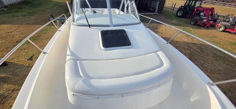 Slide: The Image of Shamrock 246 Walkaround 1998 - 6