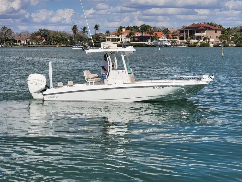 The Image of Boston Whaler 240 Dauntless 2018 - 1
