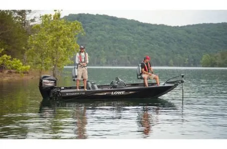 Slide: The Image of Lowe Stinger 175 2016 - 4