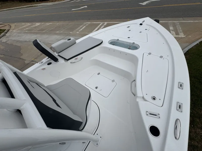 Slide: The Image of Sea Pro 250 DLX 2026 - 10