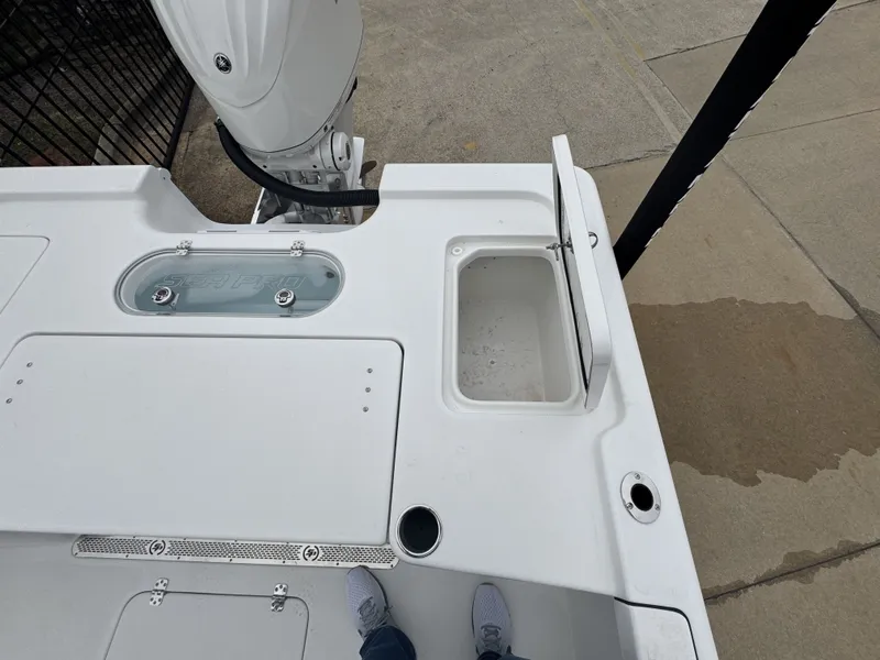 Slide: The Image of Sea Pro 250 DLX 2026 - 11