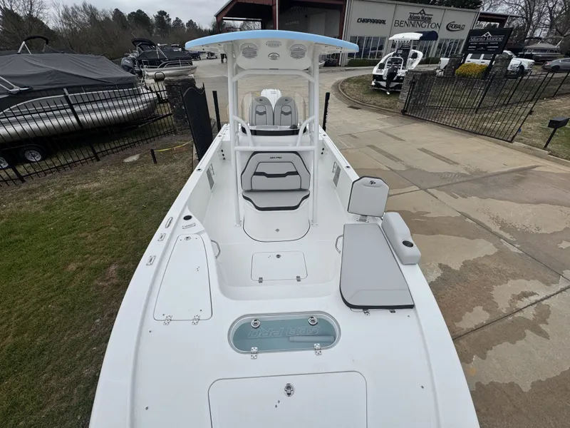 Slide: The Image of Sea Pro 250 DLX 2026 - 12