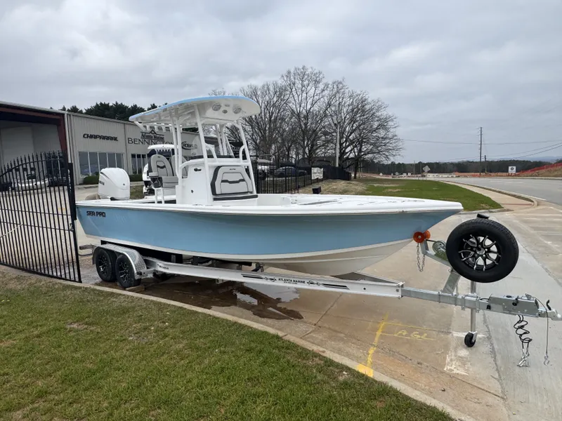 Slide: The Image of Sea Pro 250 DLX 2026 - 3