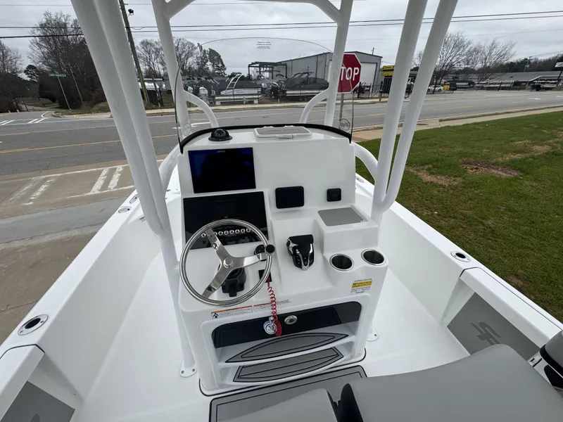 Slide: The Image of Sea Pro 250 DLX 2026 - 4