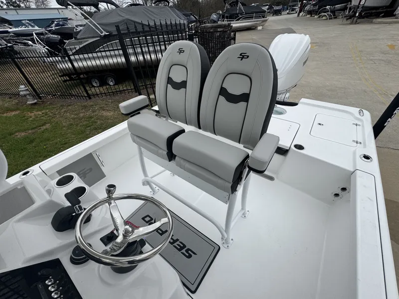 Slide: The Image of Sea Pro 250 DLX 2026 - 5