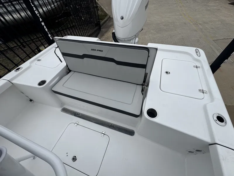 Slide: The Image of Sea Pro 250 DLX 2026 - 6