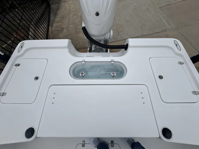 Slide: The Image of Sea Pro 250 DLX 2026 - 7