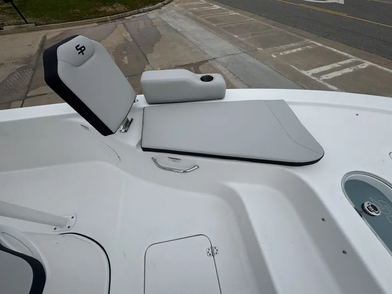 Slide: The Image of Sea Pro 250 DLX 2026 - 9