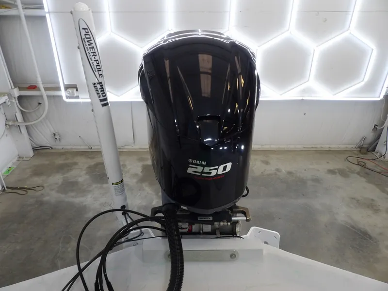 Slide: The Image of Shoalwater 21 Cat 2019 - 20