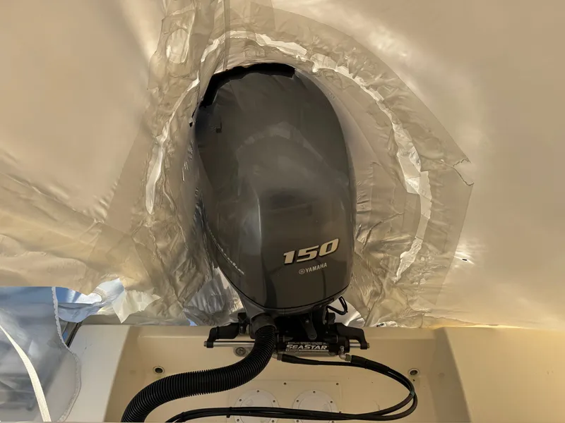 Slide: The Image of Cobia 201 2015 - 32