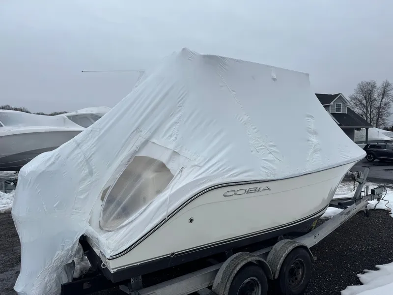 Slide: The Image of Cobia 201 2015 - 4