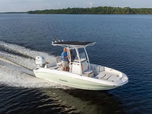 The Image of Stingray 206 CC 2026 - undefined