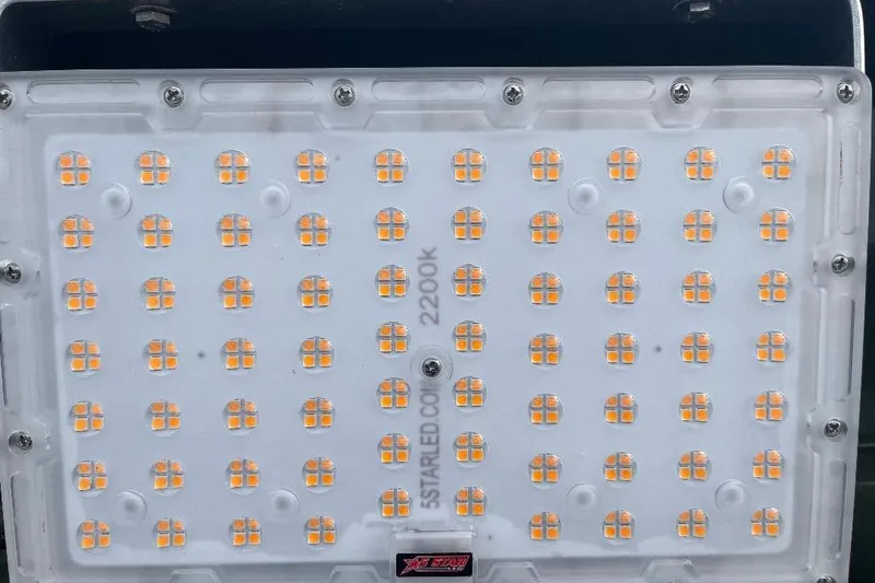 Slide: The Image of Close-up of LED light panel on 2024 Other 1870 Bowfish model. - 6