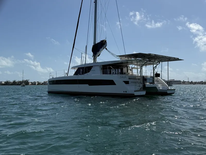 Slide: The Image of Leopard 45 2019 - 4