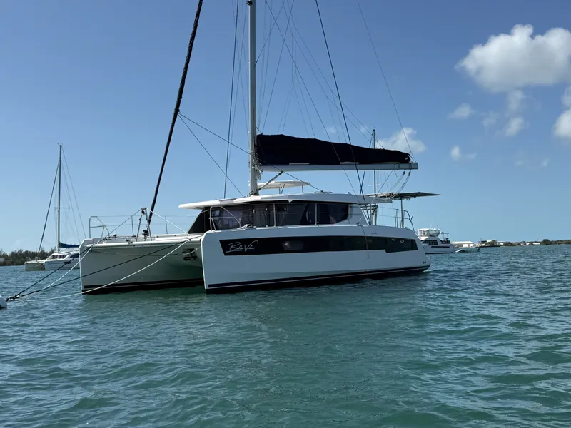 Slide: The Image of Leopard 45 2019 - 5