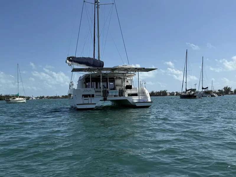 Slide: The Image of Leopard 45 2019 - 6