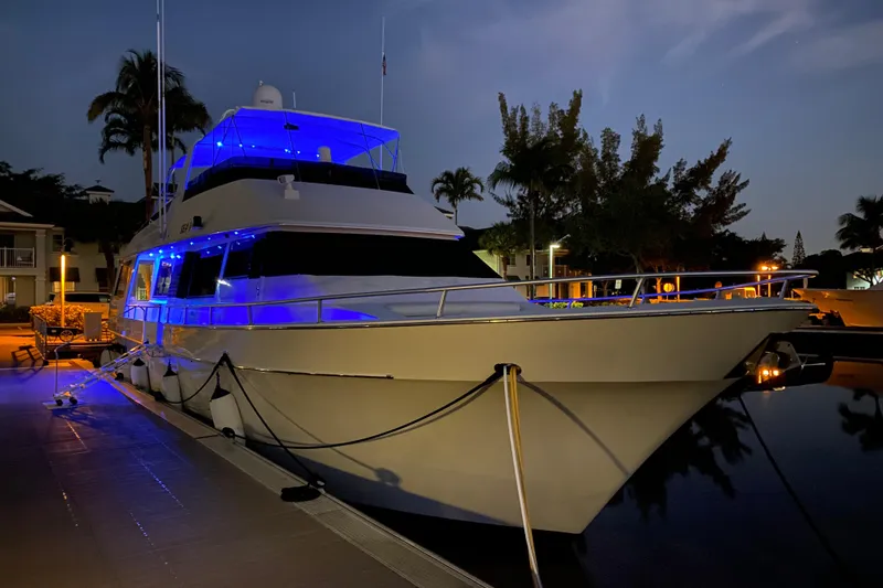 The Image of Viking 65 Cockpit 1991 - undefined